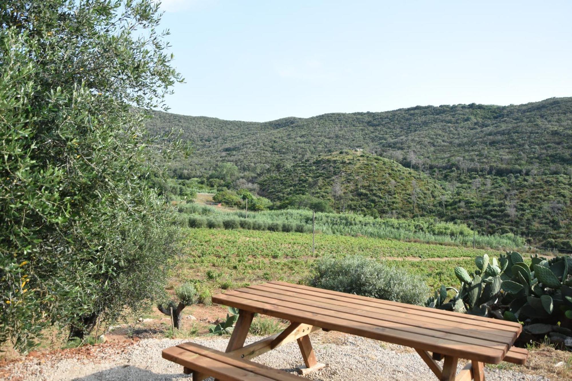 Elba Borgo Di Latrano Apartment Magazzini  Екстериор снимка